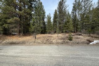 Vacant Residential Land for Sale, Lot 1 Snowball Creek Road, Grand Forks, BC
