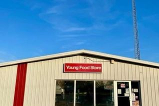 Commercial/Retail Property for Sale, 118 Main Street, Young, SK