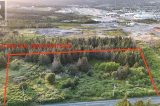 Land for Sale, 0 Clarkes Road, Carbonear, NL