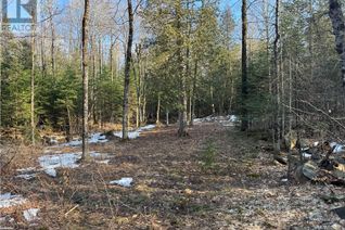 Land for Sale, 0 North Drive, Eagle Lake, ON