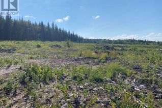 Land for Sale, 1575 Nechako Avenue, Vanderhoof, BC