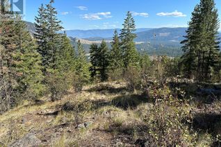 Land for Sale, 2880 Yankee Flats Road, Salmon Arm, BC