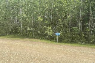 Commercial Land for Sale, 29 480012 Rge Rd 274, Rural Wetaskiwin County, AB