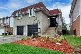 Detached House for Rent, 6 Lupin Crt #Bsmt, Brampton, ON