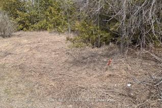 Vacant Residential Land for Sale, 1234 Webster Rd, Douro-Dummer, ON