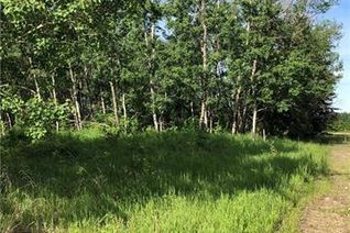 Land for Sale, Lot 11 Campsite Road, Plamondon, AB