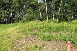 Land for Sale, Lot 10 Campsite Road, Plamondon, AB