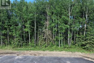 Commercial Land for Sale, Lot 9 Campsite Road, Plamondon, AB