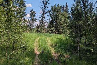 Land for Sale, 40-0, Rural Lacombe County, AB