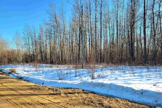 Property for Sale, 9 Beachside Es, Rural Wetaskiwin County, AB