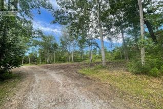 Commercial Land for Sale, 14 Lawson Court, Kawartha Lakes, ON