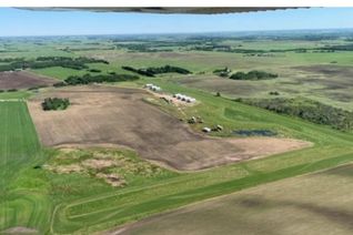 Industrial Property for Lease, 26453 Twp Rd 481, Rural Leduc County, AB