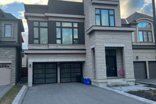 Detached House for Rent, 12 Nicol St #Bsmt, Richmond Hill, ON