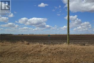 Land for Sale, 43 721022 Range Road 54, Rural Grande Prairie No. 1, County of, AB