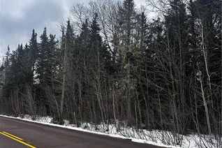 Land for Sale, 515 Route 515, Saint-Paul, NB