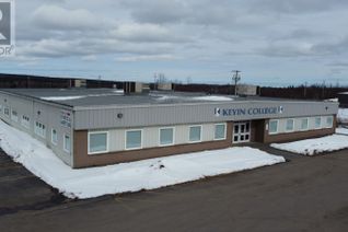 General Commercial Business for Sale, 60 Hardy Avenue, Grand Falls-Windsor, NL