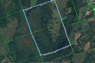 Land for Sale, 0 Cedar Tree Rd, Kawartha Lakes, ON