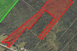 Land for Sale, Lot Route 905, Forest Glen, NB