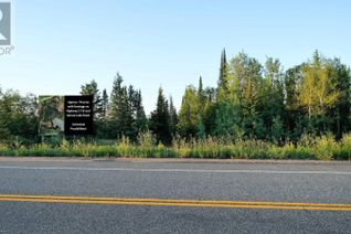 Commercial Land for Sale, 0 & 1 Spruce Lake Road, Keewatin, ON