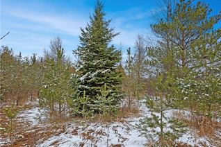 Vacant Residential Land for Sale, Ptl 17 Con12 Southgate Rd13 Rd, Southgate, ON