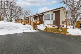 Detached House for Sale, 244 Fowlers Road, CBS, NL