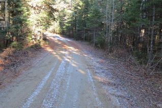 Land for Sale, N/A Eric's Lane, Cains River, NB