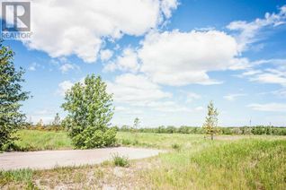 Commercial Land for Sale, 81060 2378 Drive E, Rural Foothills County, AB