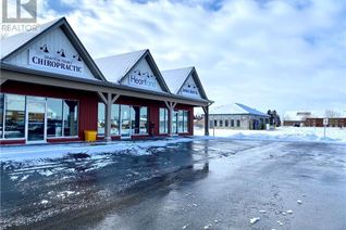 Commercial/Retail Property for Lease, 89 Wellington Street S Unit# 5, Drayton, ON
