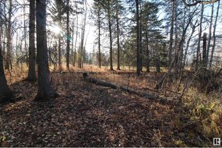 Land for Sale, 55530 Rge Rd 52, Rural Lac Ste. Anne County, AB