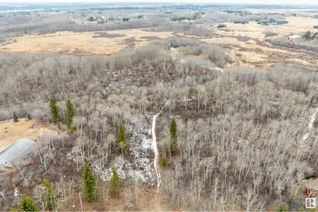Land for Sale, 46 473051 Rr 242 None, Rural Wetaskiwin County, AB