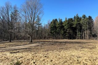 Vacant Residential Land for Sale, 16640 Evelyn Dr, London, ON
