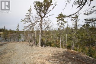 Land for Sale, Lot 38a Inner Pond Road S, Whitbourne, NL