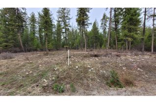 Vacant Residential Land for Sale, Lot 1 Caitlin Road, Christina Lake, BC