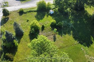 Land for Sale, 1 Earl St, Cramahe, ON