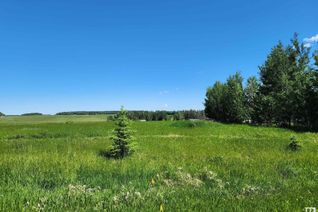 Commercial Land for Sale, 316 1 St, Rural Wetaskiwin County, AB