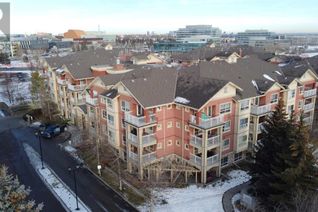 Condo Apartment for Sale, 22 Richard Place Sw #340, Calgary, AB