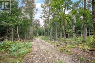 Commercial Land for Sale, 0 Highway 518, Sprucedale, ON