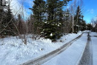 Land for Sale, 2 Wigwam Point, Peterview, NL