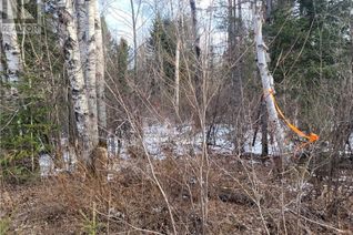 Commercial Land for Sale, Lot33 Con6 Part 3 Hwy 533, Mattawa, ON