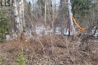 Commercial Land for Sale, Lot33 Con6 Part 2 Hwy 533, Mattawa, ON