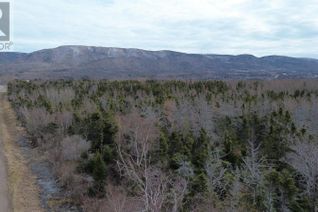 Land for Sale, Plateau Road, Chéticamp, NS