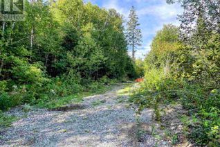 Commercial Land for Sale, 323 Highway 101 W, Wawa, ON