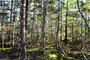 Land for Sale, Lot 85-171 Harbour Heigths Drive, Welshpool, NB