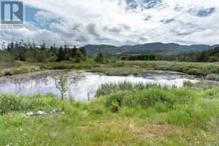 Vacant Residential Land for Sale, 3910 Alberni Hwy, Whiskey Creek, BC
