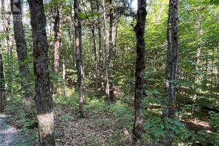 Land for Sale, Lot 90 Lookout Point Road, Huntsville, ON