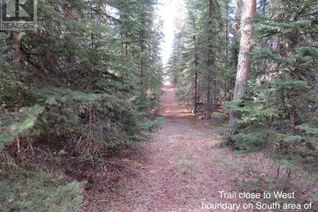 Land for Sale, Pine Ridge Drive, Rural Clearwater County, AB