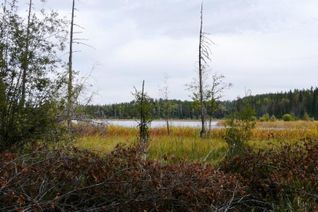 Land for Sale, Lot 4 Wilgress Lake, Grand Forks, BC