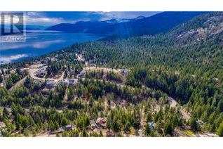 Commercial Land for Sale, 356 Lakewood Road, Vernon, BC
