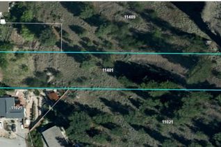 Commercial Land for Sale, 11401 Victoria S, Summerland, BC
