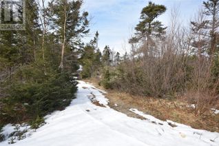 Land for Sale, 19-21 Calvin Manor Road, Conception Bay South, NL